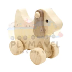 Push and Pull Wooden Toy - Baby Toys for Kids in Texas